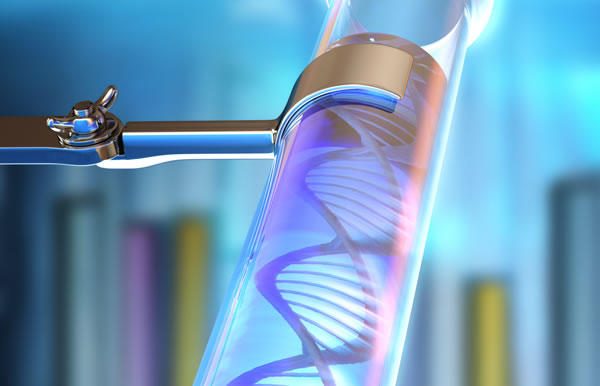 Molekulare Diagnostik, HLA-, HPA-Typisierung