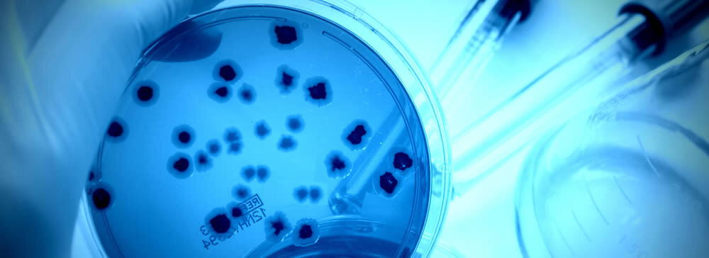 Real Time PCR System