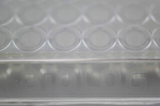 YT MicroPlate (levures et moisissures)