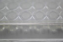 YT MicroPlate (levures et moisissures)