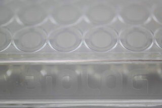 PM-M6 Hormone/Metabolic effector assays - Phenotype MircoArray MicroPlate for testing mammalian cell metabolism