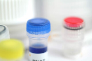 Plasma cfDNA Extraction Kit