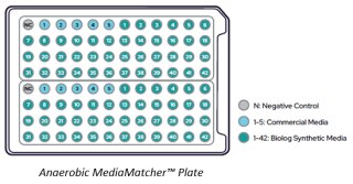 Biolog Anaerobic MediaMatcher Plates™ (AN-MM)