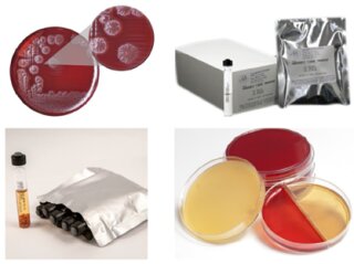 Anaerobe Systems
