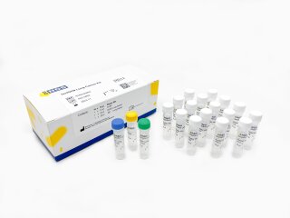 fastGEN NGS kits