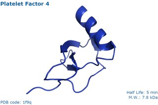 Facteur plaquettaire 4 (PF4), humain