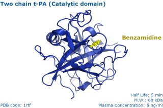 t-PA stimulator, humain, 1 mg