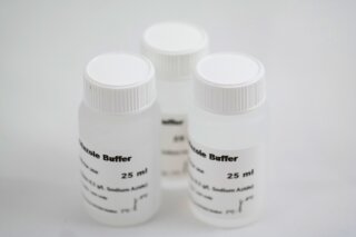 Diluent Buffer with Albumin (ELISA)